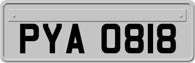 PYA0818