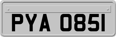 PYA0851