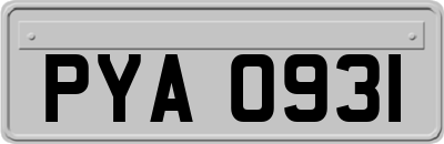 PYA0931