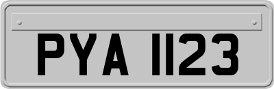 PYA1123