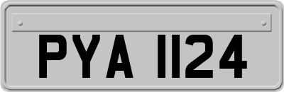 PYA1124