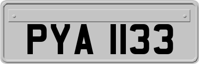 PYA1133