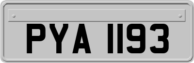 PYA1193