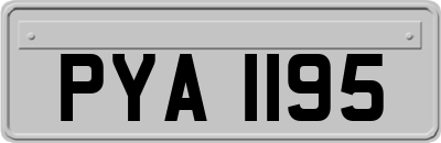 PYA1195