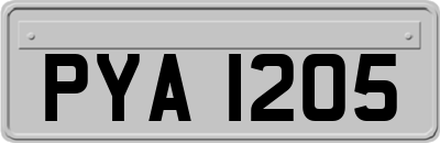 PYA1205