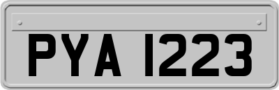 PYA1223