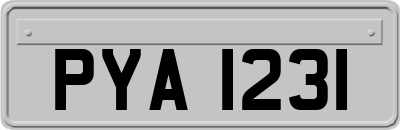 PYA1231