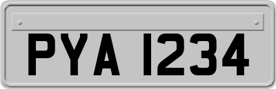 PYA1234