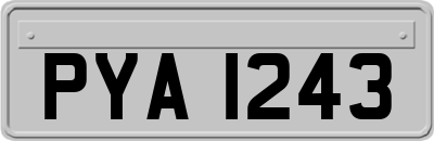 PYA1243