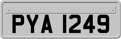 PYA1249