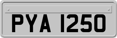 PYA1250