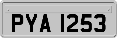 PYA1253