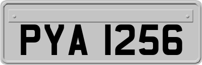 PYA1256