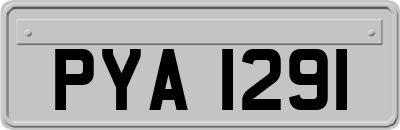 PYA1291