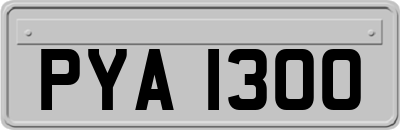 PYA1300