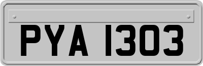 PYA1303