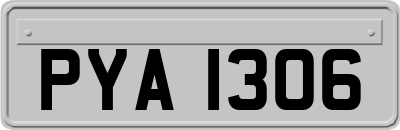 PYA1306