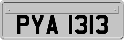 PYA1313