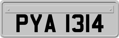 PYA1314