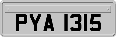 PYA1315