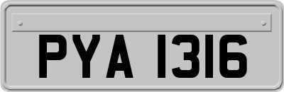 PYA1316