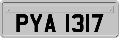 PYA1317