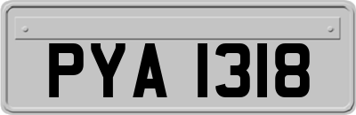 PYA1318