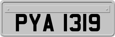 PYA1319