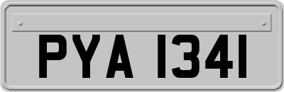 PYA1341