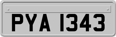 PYA1343