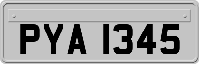 PYA1345