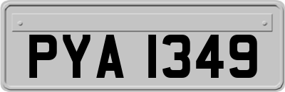 PYA1349