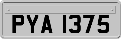 PYA1375