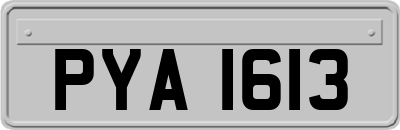 PYA1613