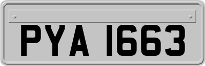 PYA1663