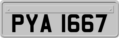 PYA1667