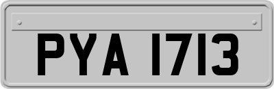 PYA1713