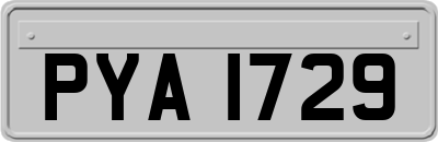 PYA1729