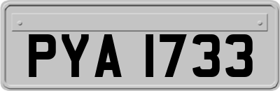 PYA1733