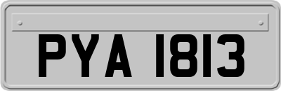 PYA1813