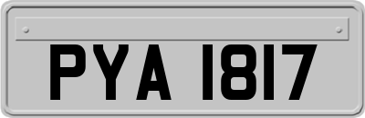 PYA1817