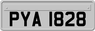 PYA1828