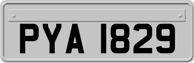 PYA1829