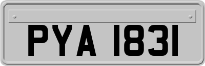 PYA1831