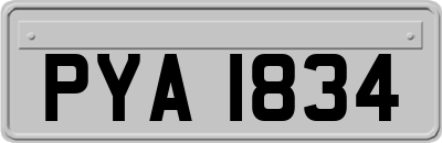 PYA1834