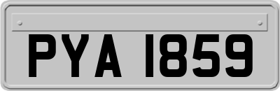 PYA1859