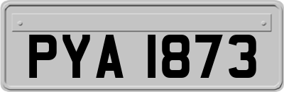 PYA1873