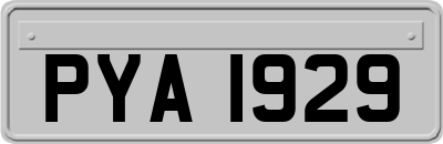 PYA1929