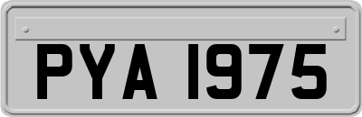 PYA1975