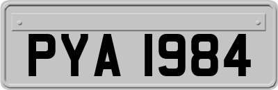 PYA1984